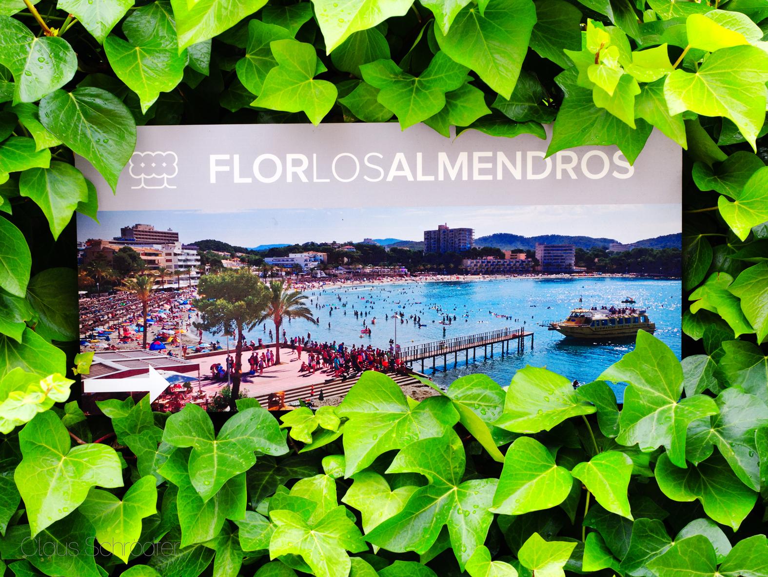 Flor Los Almendros Hotel Пегера Екстер'єр фото
